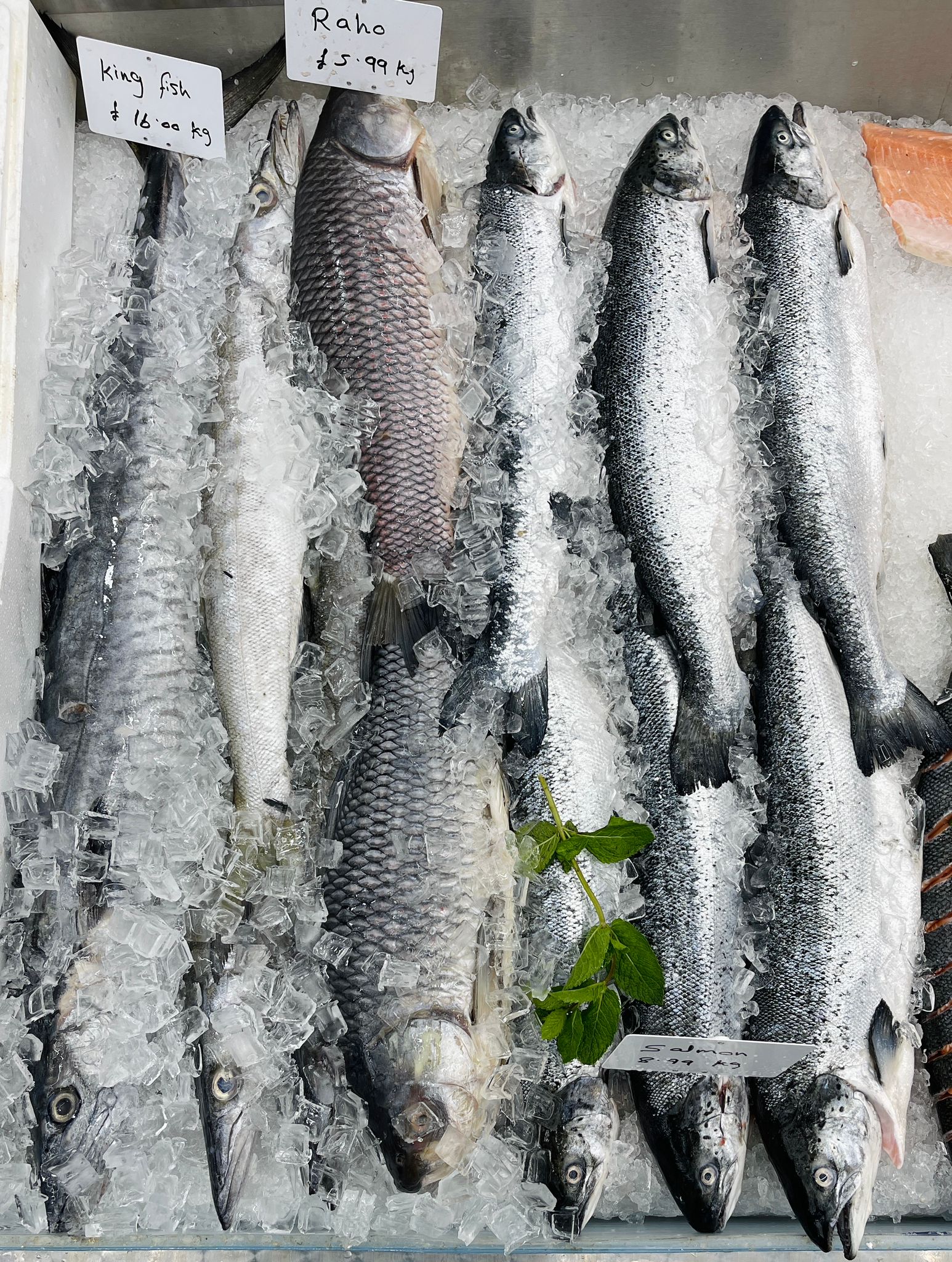 Sea bass